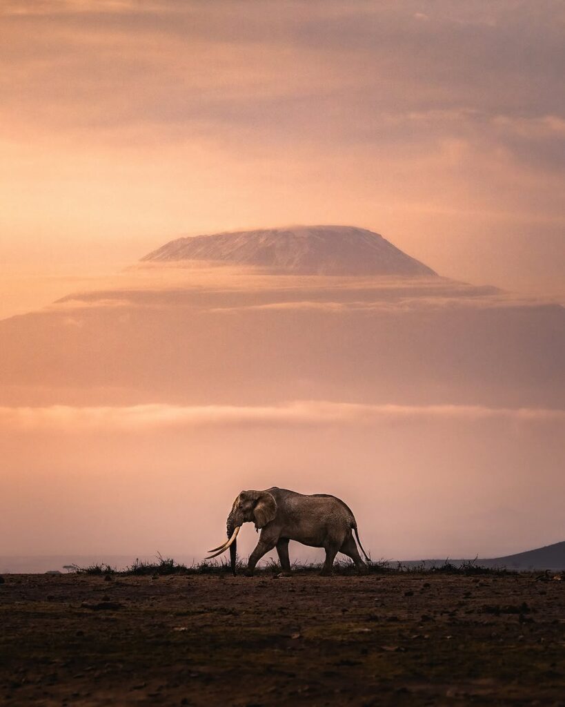 Quando andare in Kenya